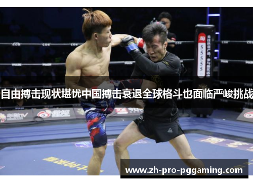 自由搏击现状堪忧中国搏击衰退全球格斗也面临严峻挑战