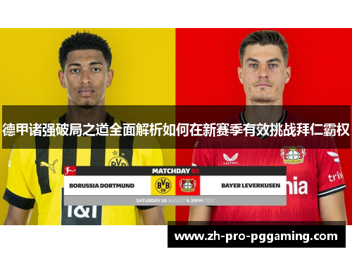 德甲诸强破局之道全面解析如何在新赛季有效挑战拜仁霸权