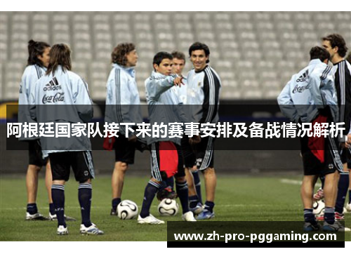 阿根廷国家队接下来的赛事安排及备战情况解析