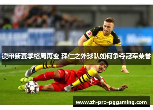 德甲新赛季格局再变 拜仁之外球队如何争夺冠军荣誉