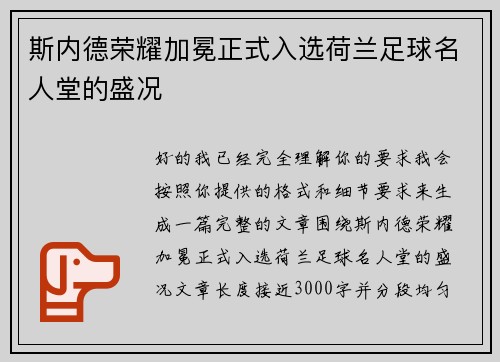 斯内德荣耀加冕正式入选荷兰足球名人堂的盛况